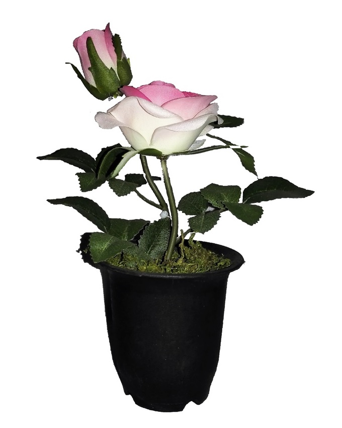 NEW VELVET ROSE IN SMALL PLASTIC WITH GREEN LEAF DETAIL 22CM - DUSTY PINK N2,500