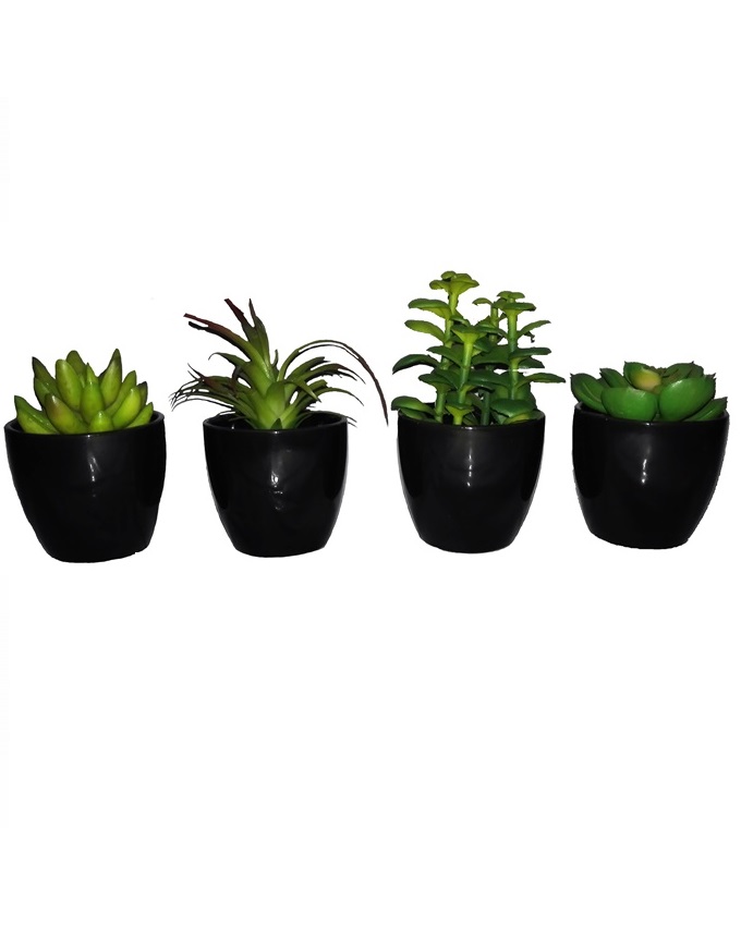 NEW PACK OF 4 BABY PLANTS IN A BLACK ACRYLIC CUP- 12CM N10,000