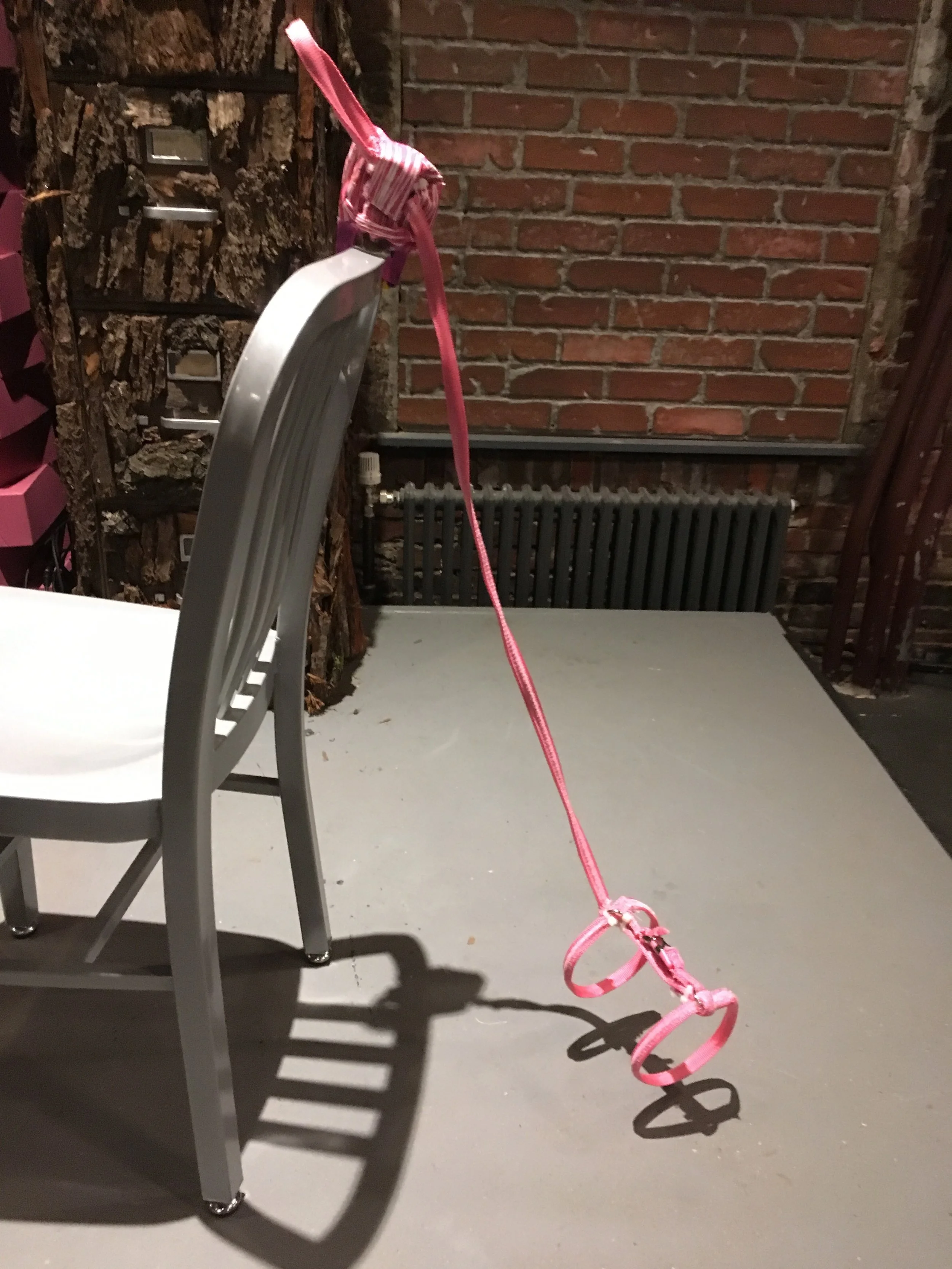 "Lost Falls" The Colonel 