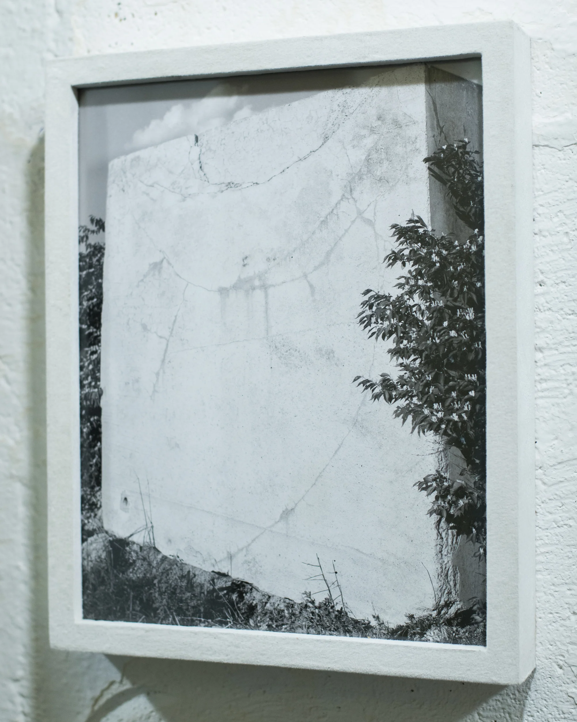 Untitled pigment print in wood frame with nylon flocking 2015