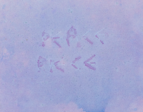 Peace Piece (talbotype) acrylic dispersed in water on canvas 2014