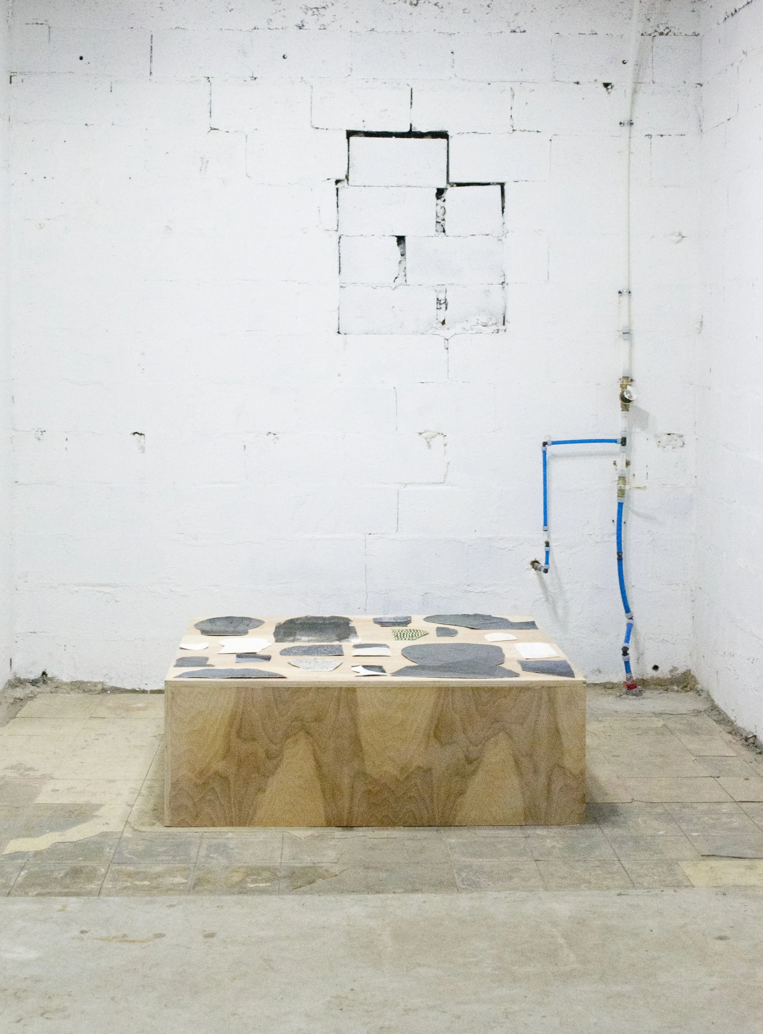 AROUND AND BETWEEN Amy Pleasant January 2015