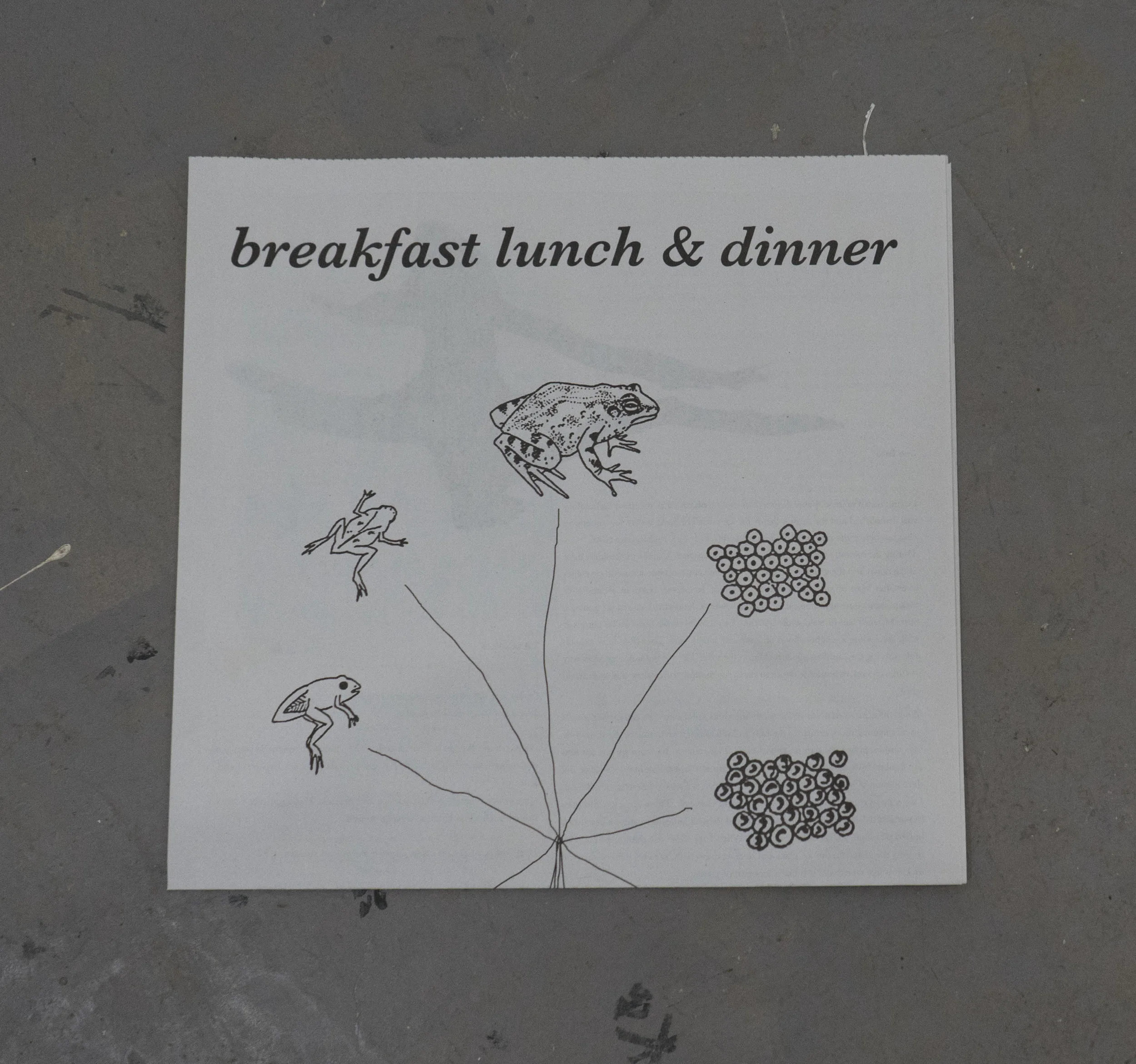 Breakfast, Lunch, & Dinner with writings from Mika Agari , David Anderson , Jessica Clay , David King, Zack Rafuls & Christian Vistan
