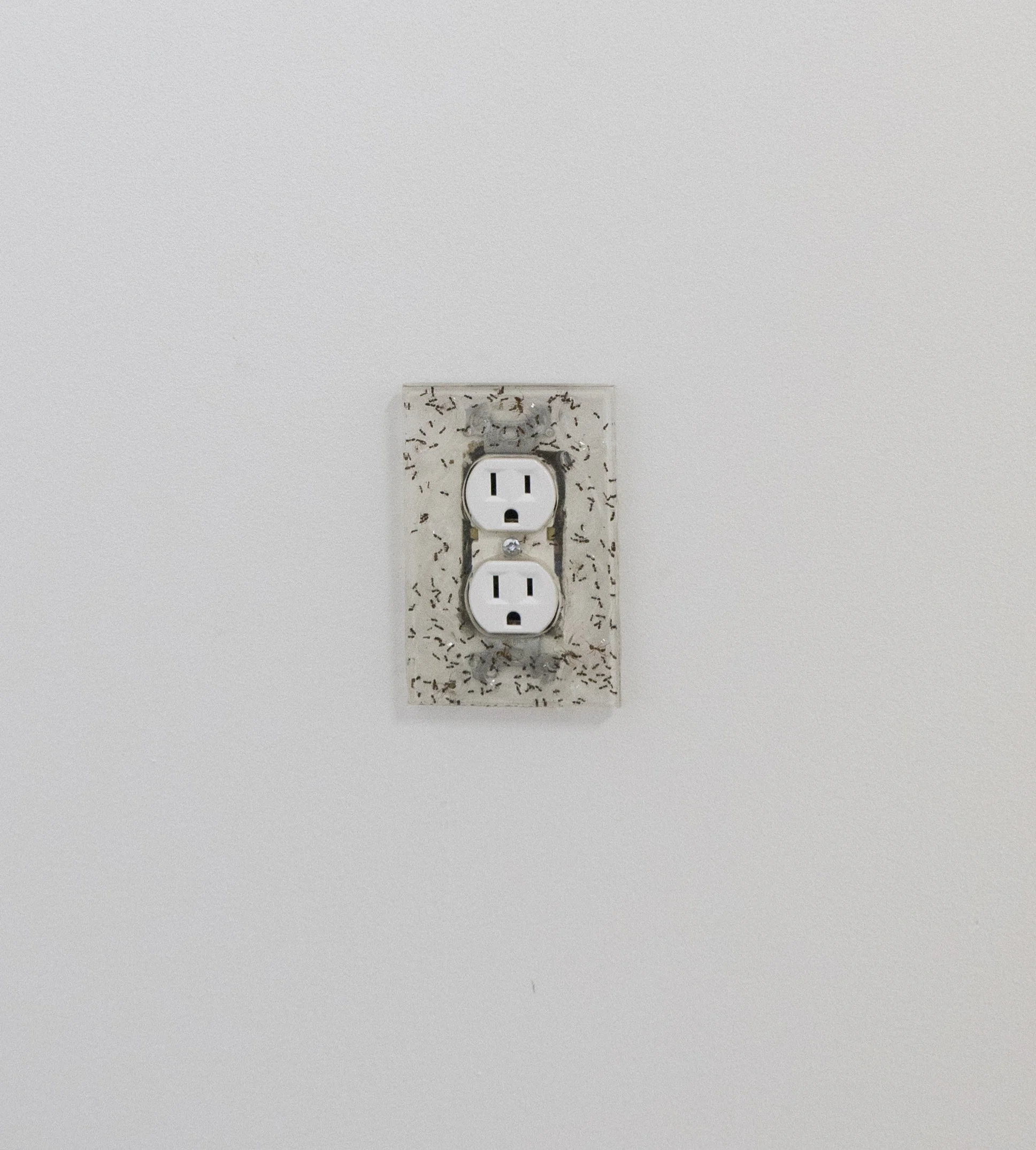 David King Untitled 2016 epoxy resin with household ants
