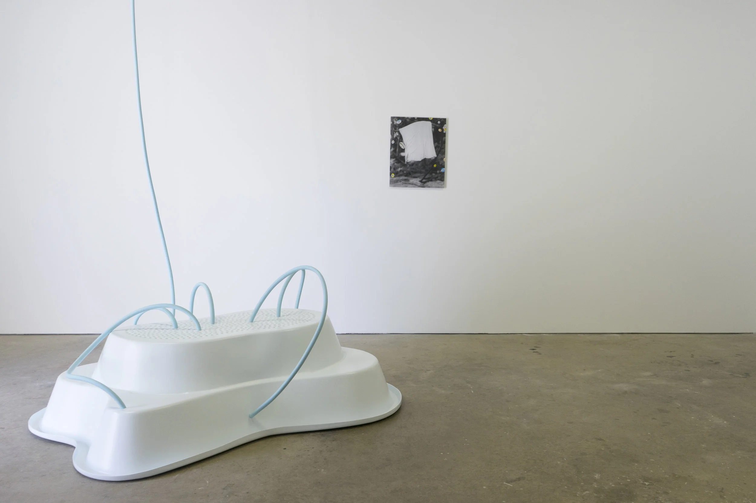 Jess Machacek OCEANUS:OURANOS 2017 preformed pond, latex paint, garden hose & David King Untitled 2015 pigment print on plexiglass and produce stickers