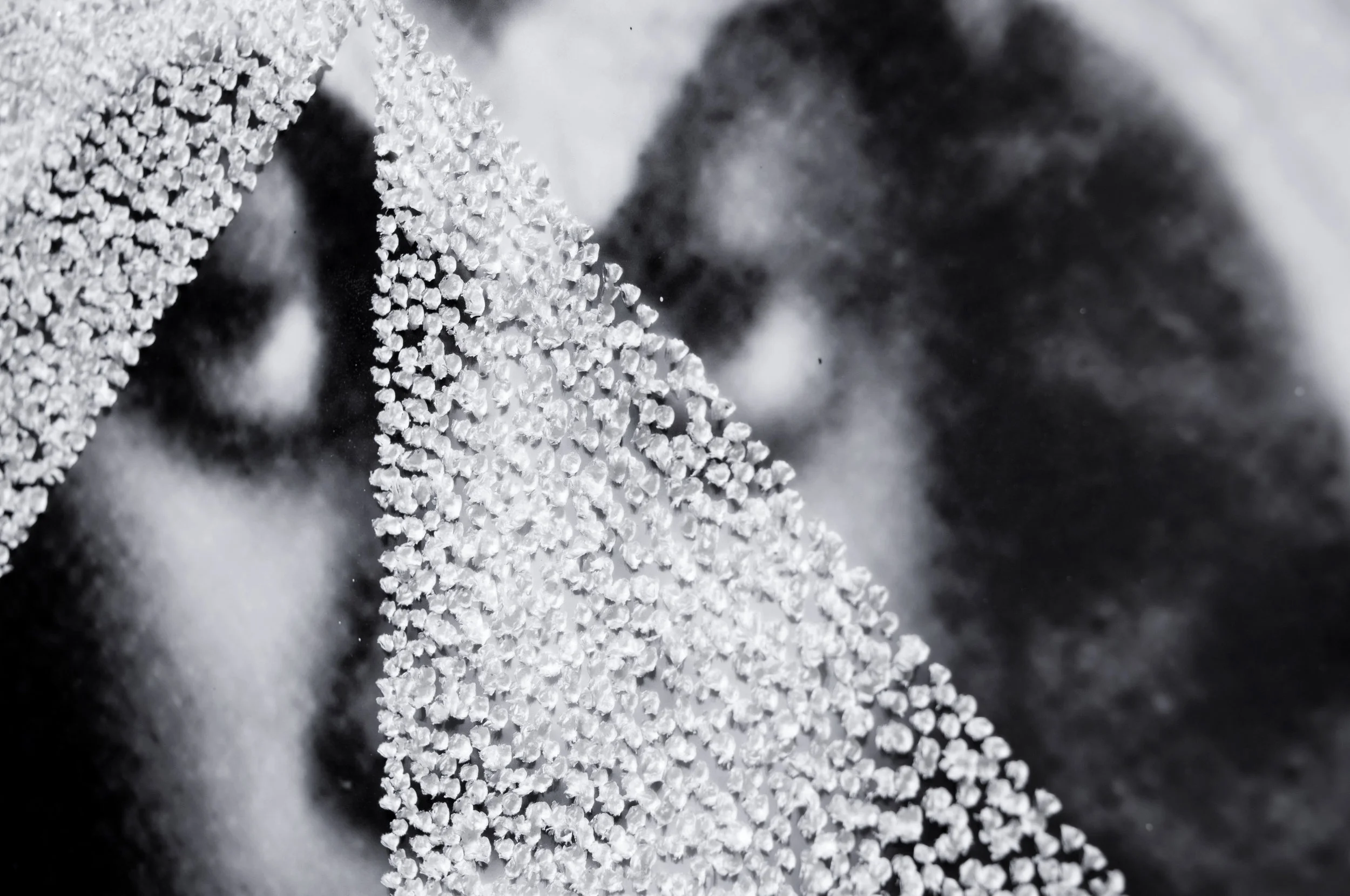 Untitled detail