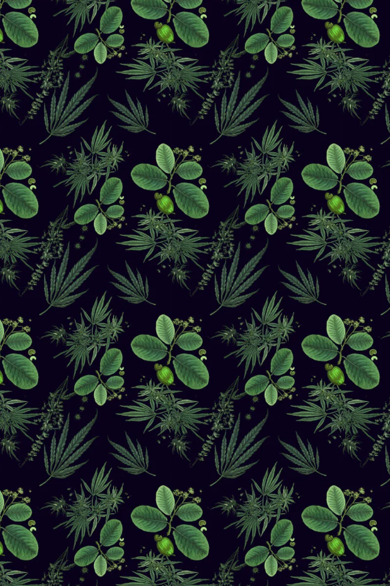 CANNA_BLACK_27.jpg