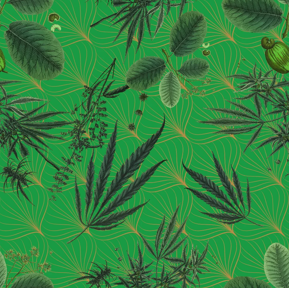 NEW_CANNA_LEGALIZED_SWATCH.jpg