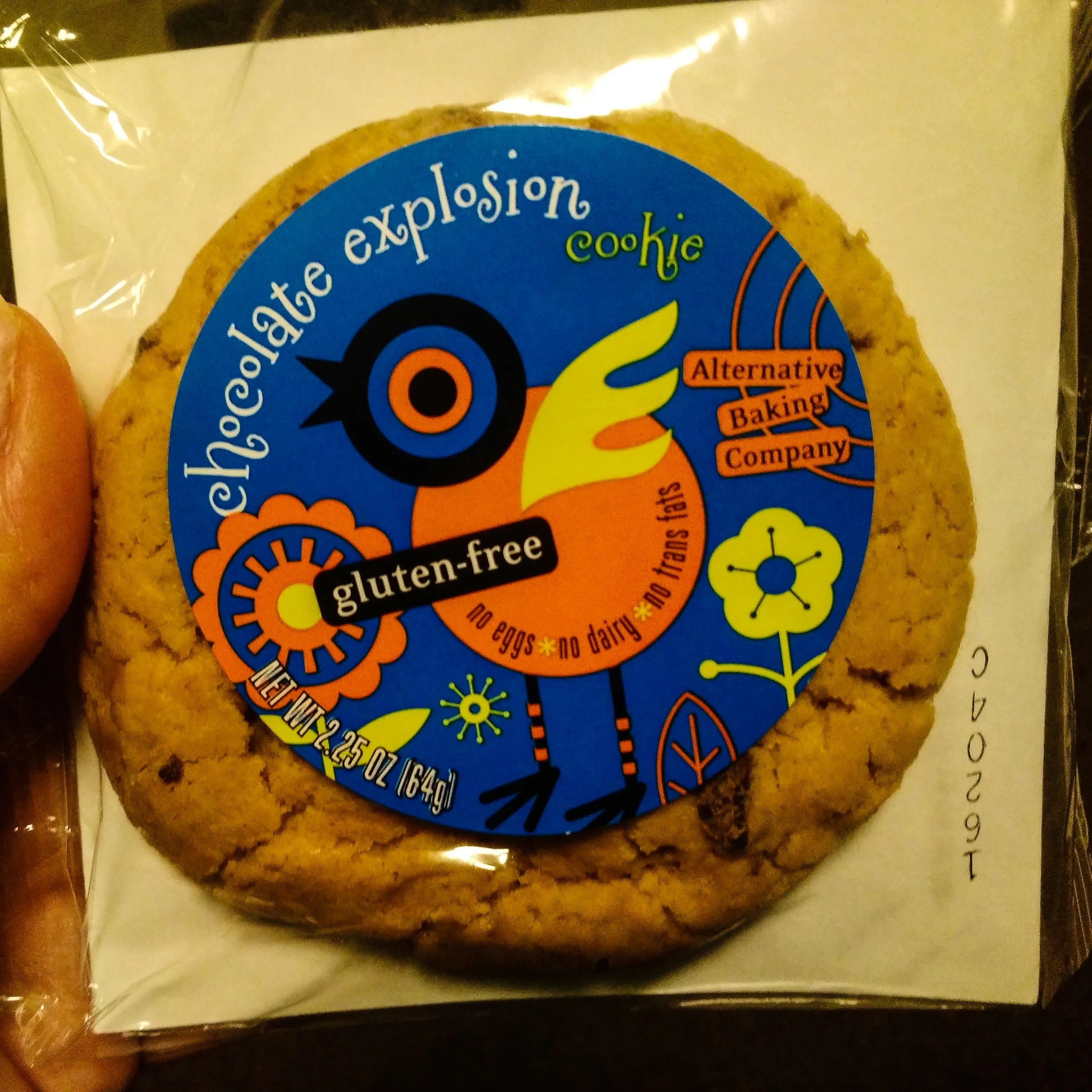 airport, travel, Copenhagen, CPH, Utah, work travel, Amsterdam, AMS, Delta, KLM, glutenfree, dairy free, vegan, Alternative Baking Company