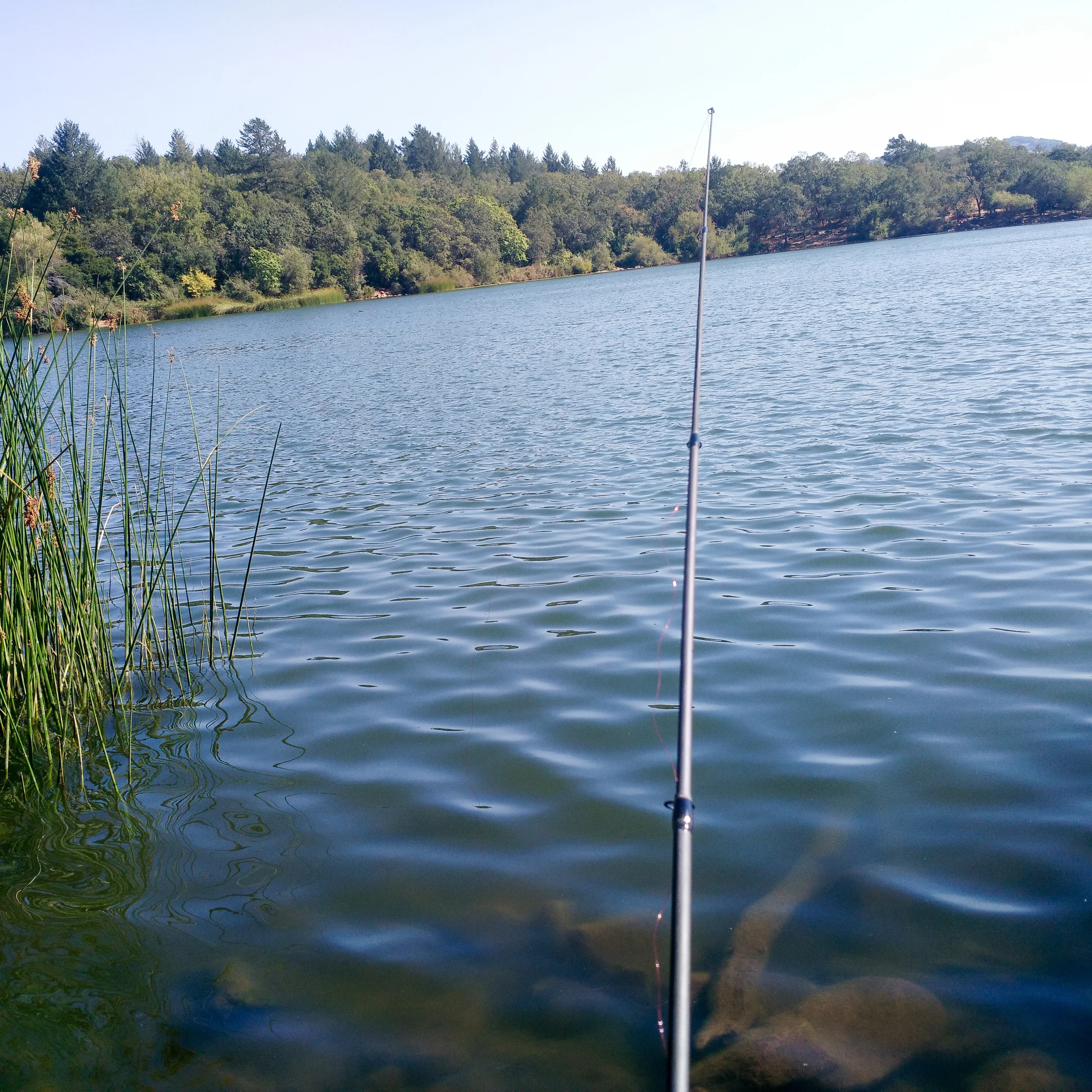 While killing time in California, I decided my life needed a telescopic (collapsible) fishing rod that I could travel with. Then I spent most afternoons catching fish from lakes around Sonoma County. Heaven.