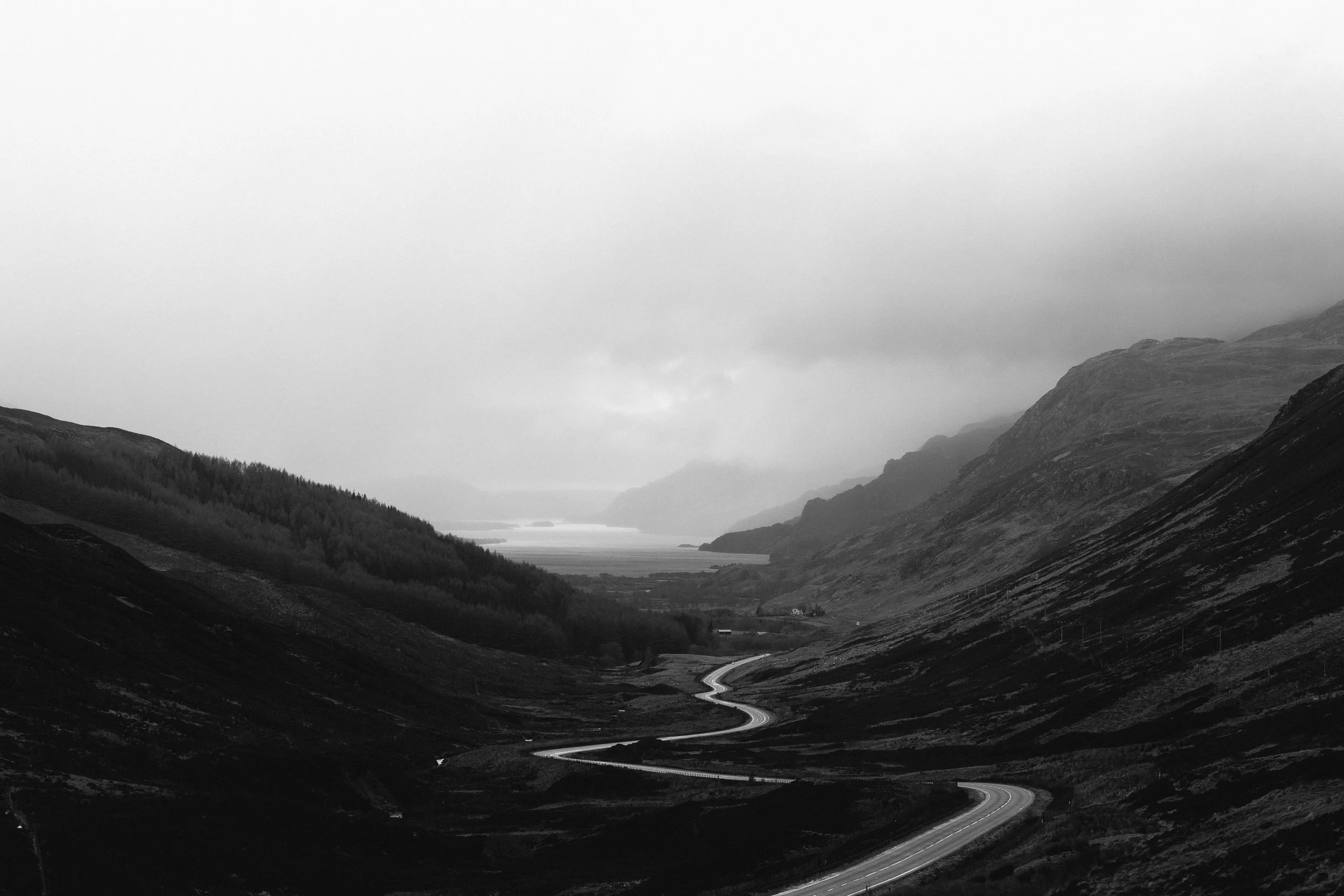 ©AngusSung-5.jpg