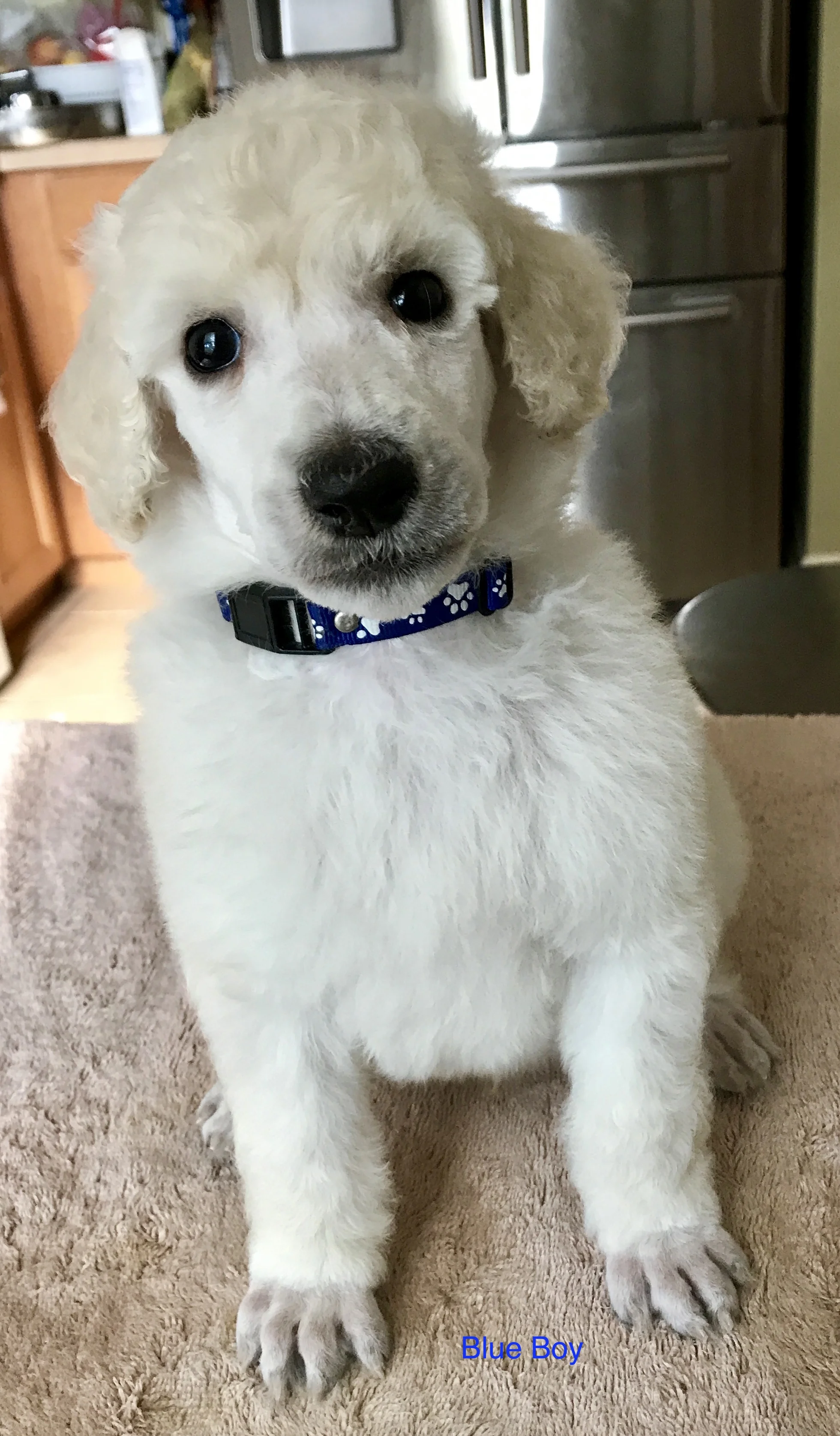 PIERRE
