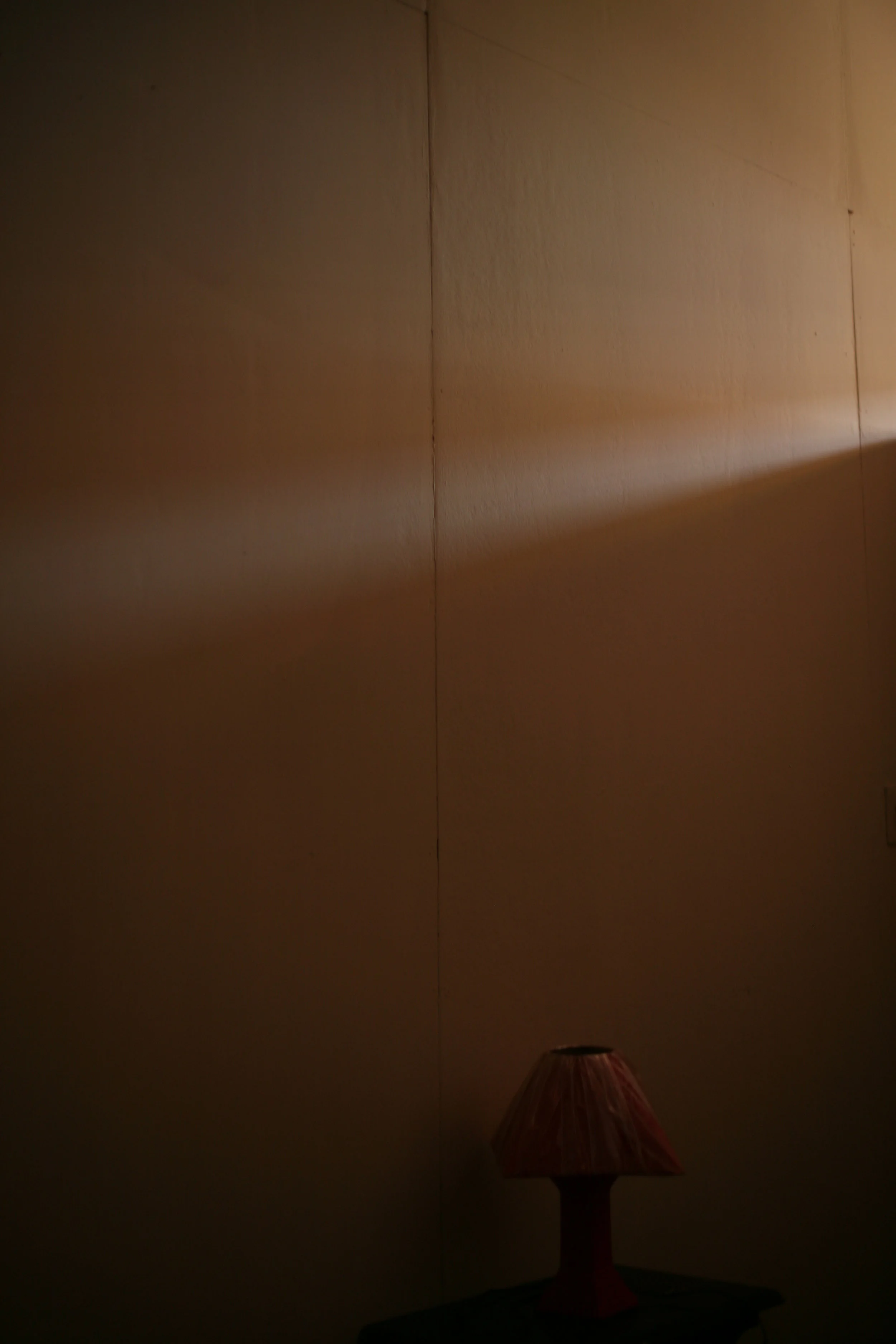 IMG_9558 - Copy.JPG