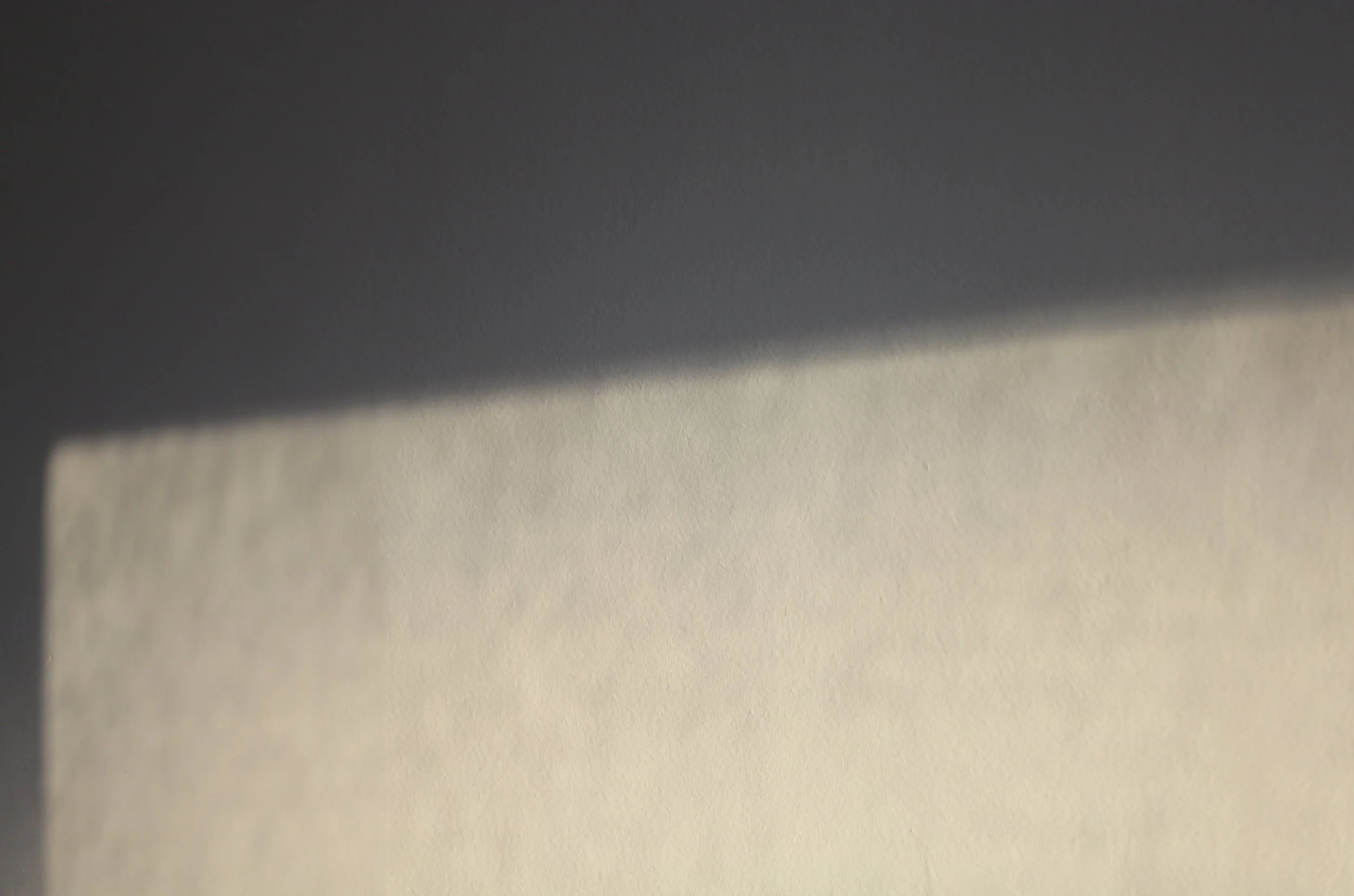 IMG_0018 crop1.jpg
