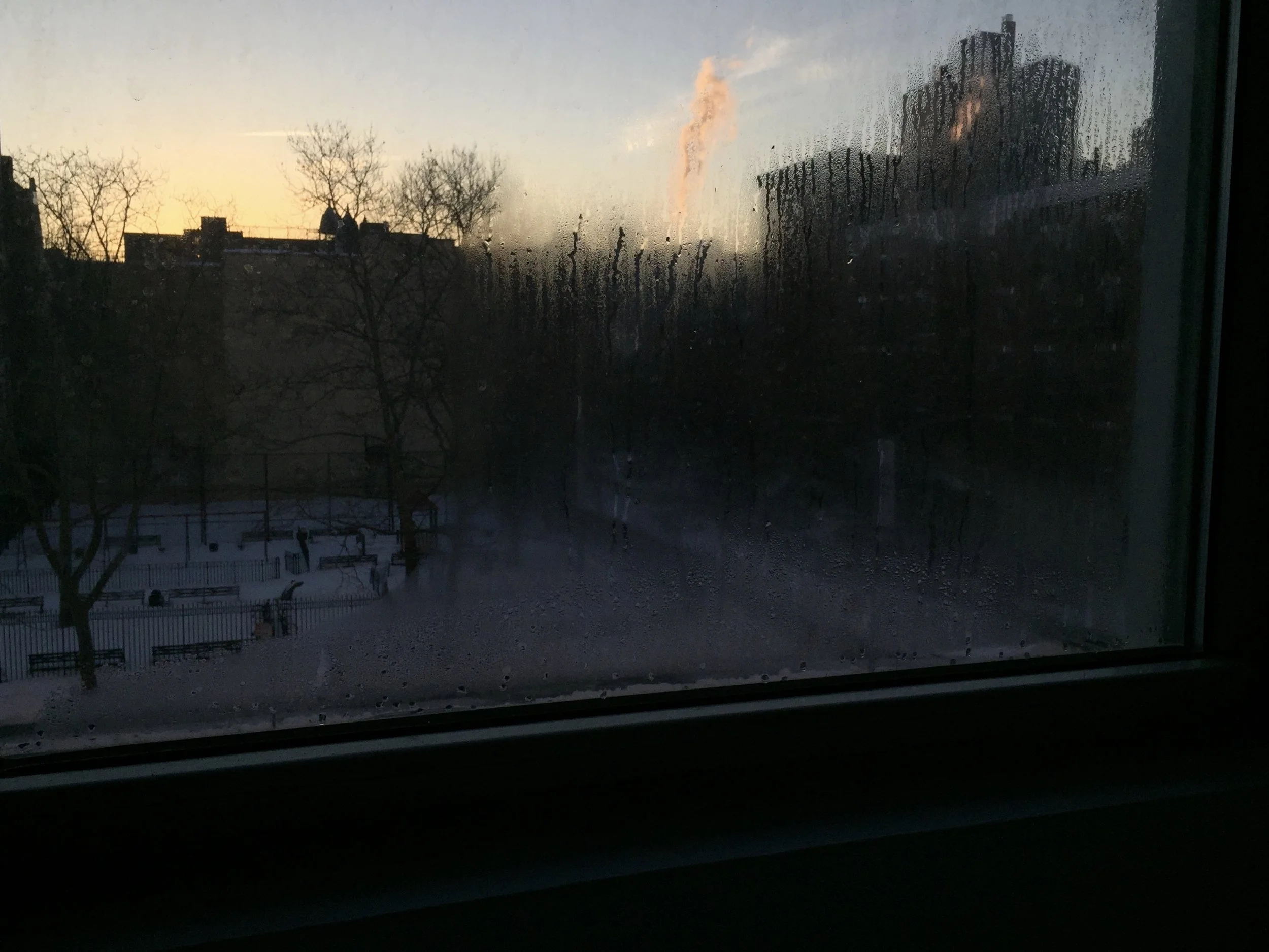 fullsizeoutput_116d.jpeg
