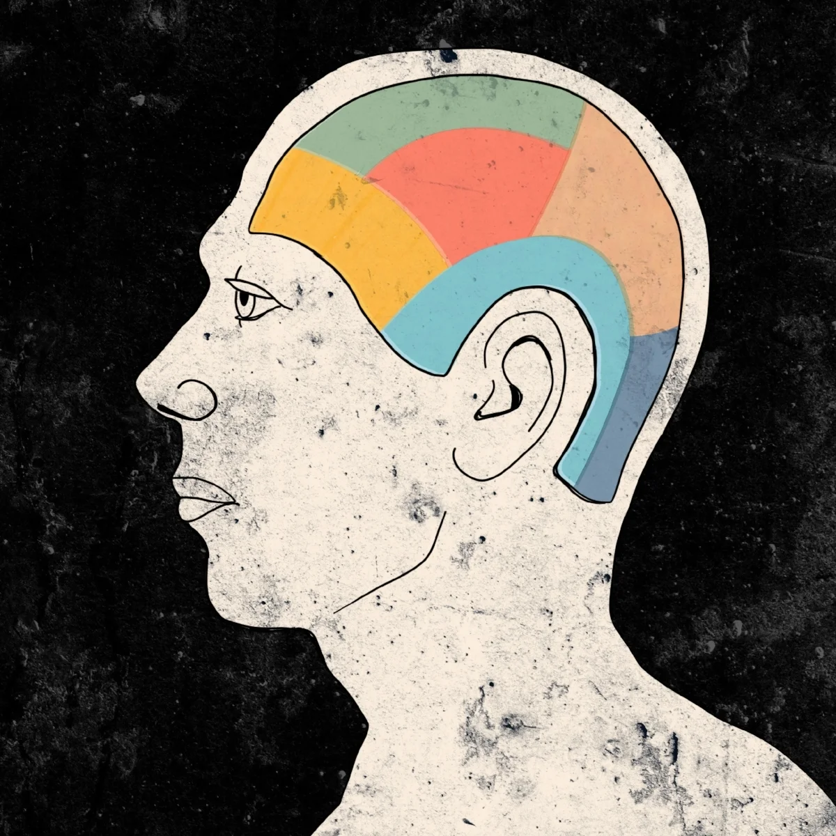 Phrenology Sketch