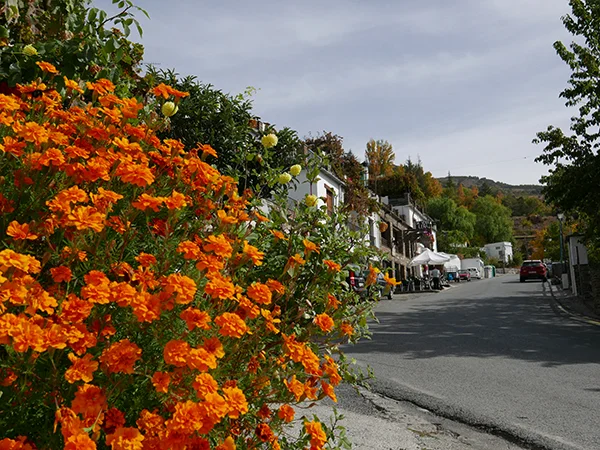Colours of Capileira