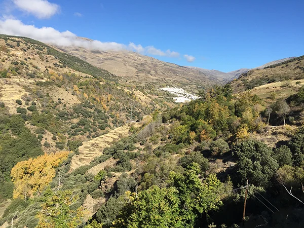 Treveléz snuggled into the valley
