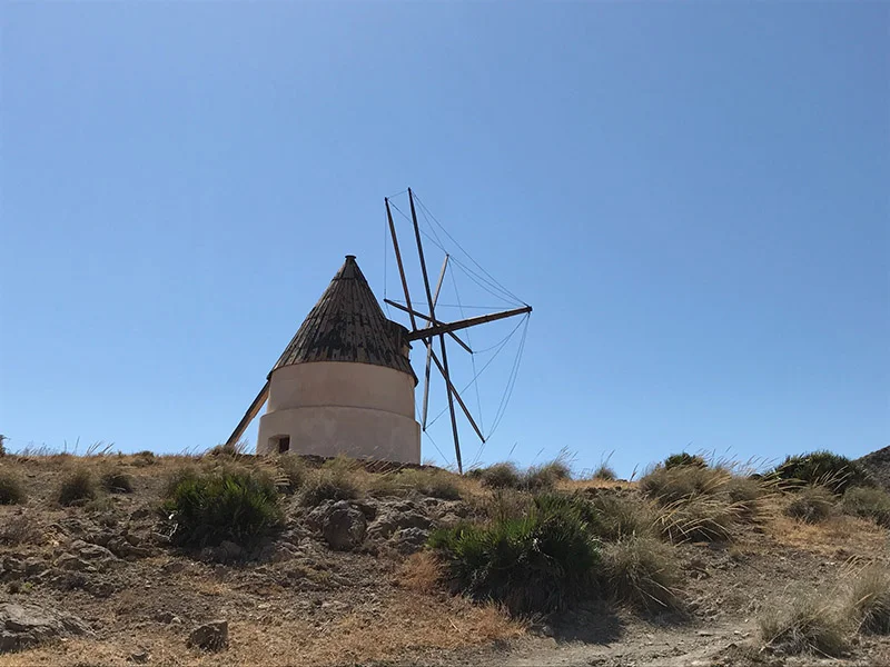 windmill.jpg