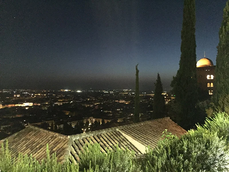 View from Los Jardines de Falla