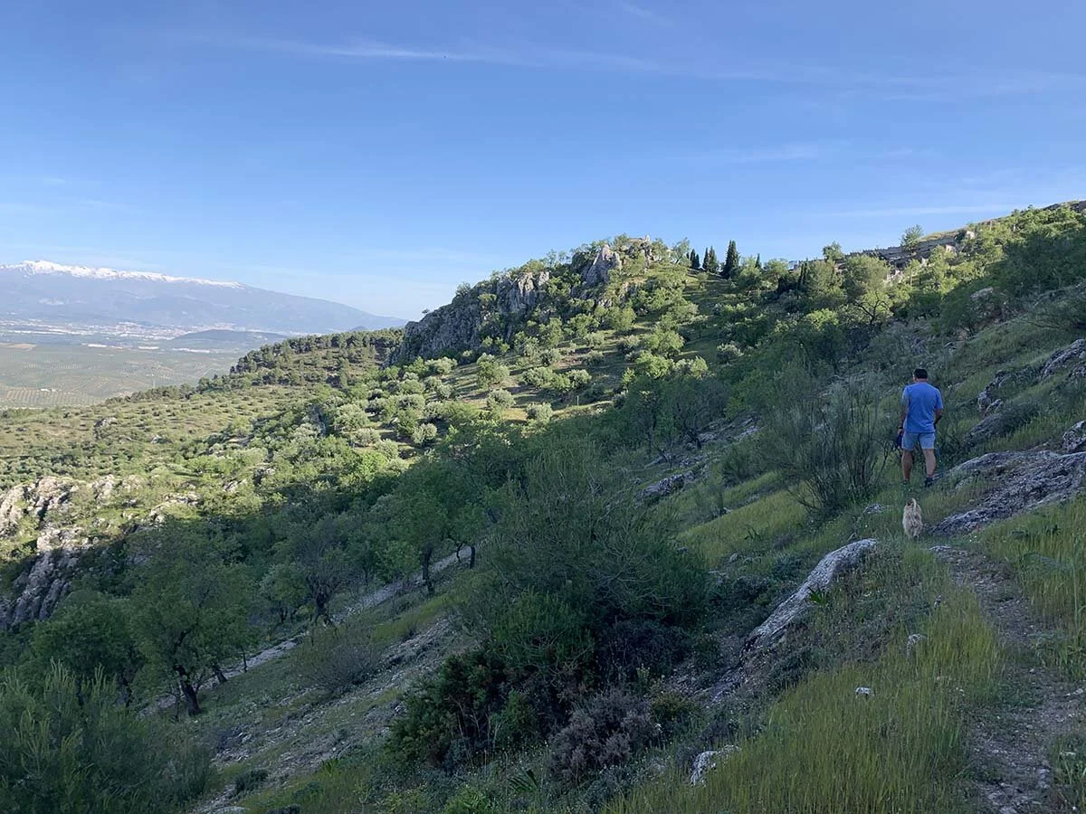 Life in the Time of Corona Part 13 - I had a Dream...