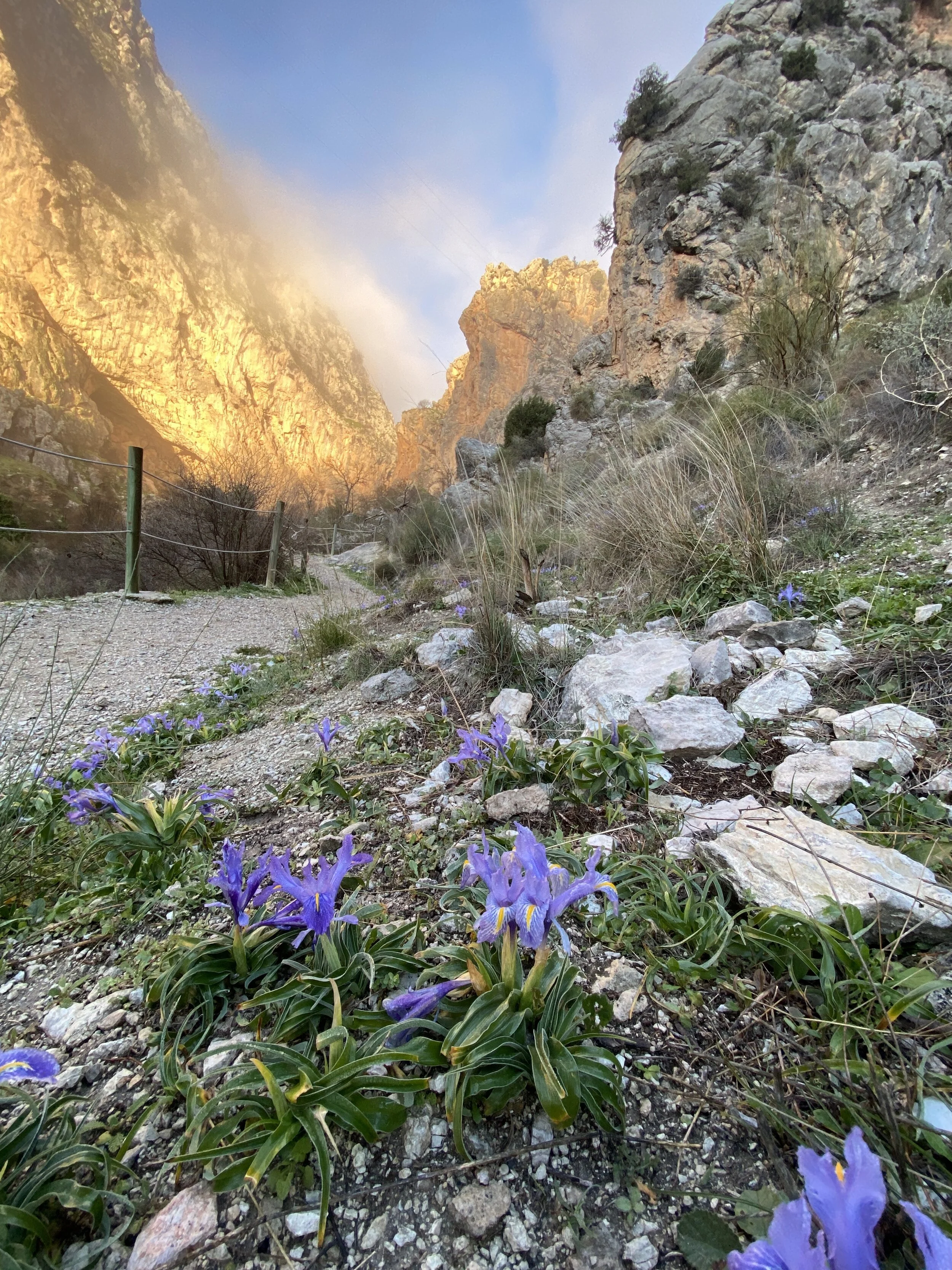 Ruta del gollizno.jpeg