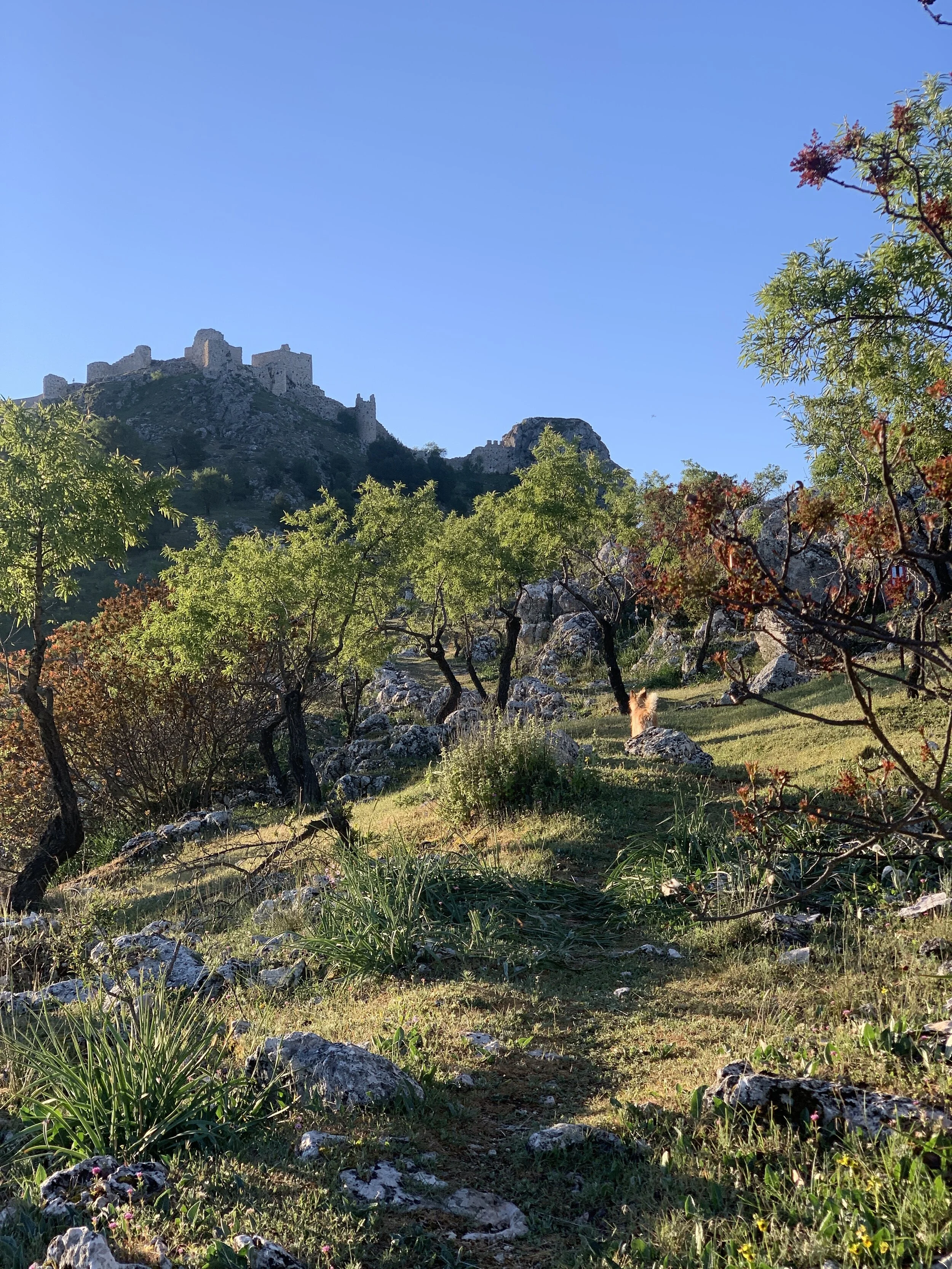 The Healing Power of Nature