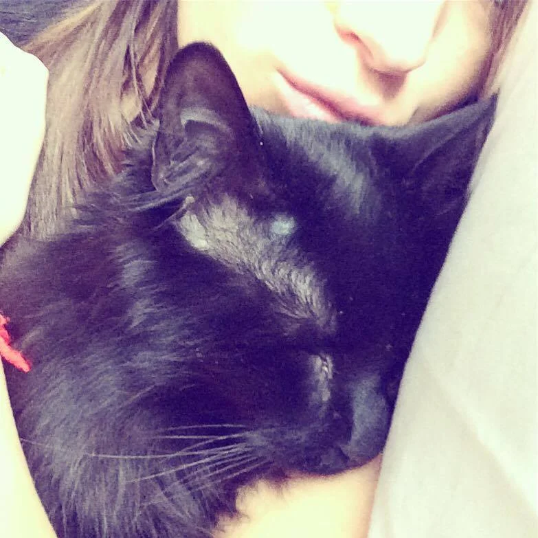 This is me with my fuzzy alarm clock/ sidekick. Meet #Lucythecuriouskitten. (Yes, she really has her own hashtag.)