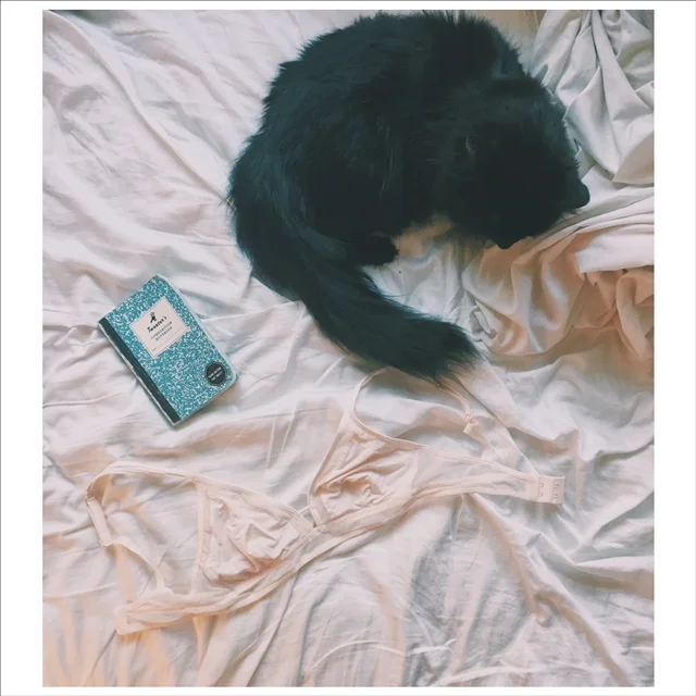 These are a few of my favorite things.