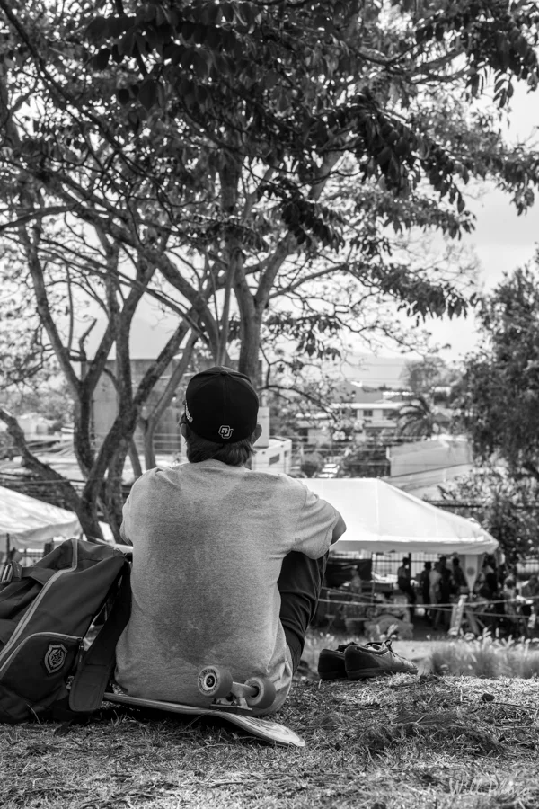 d71_5884.jpg