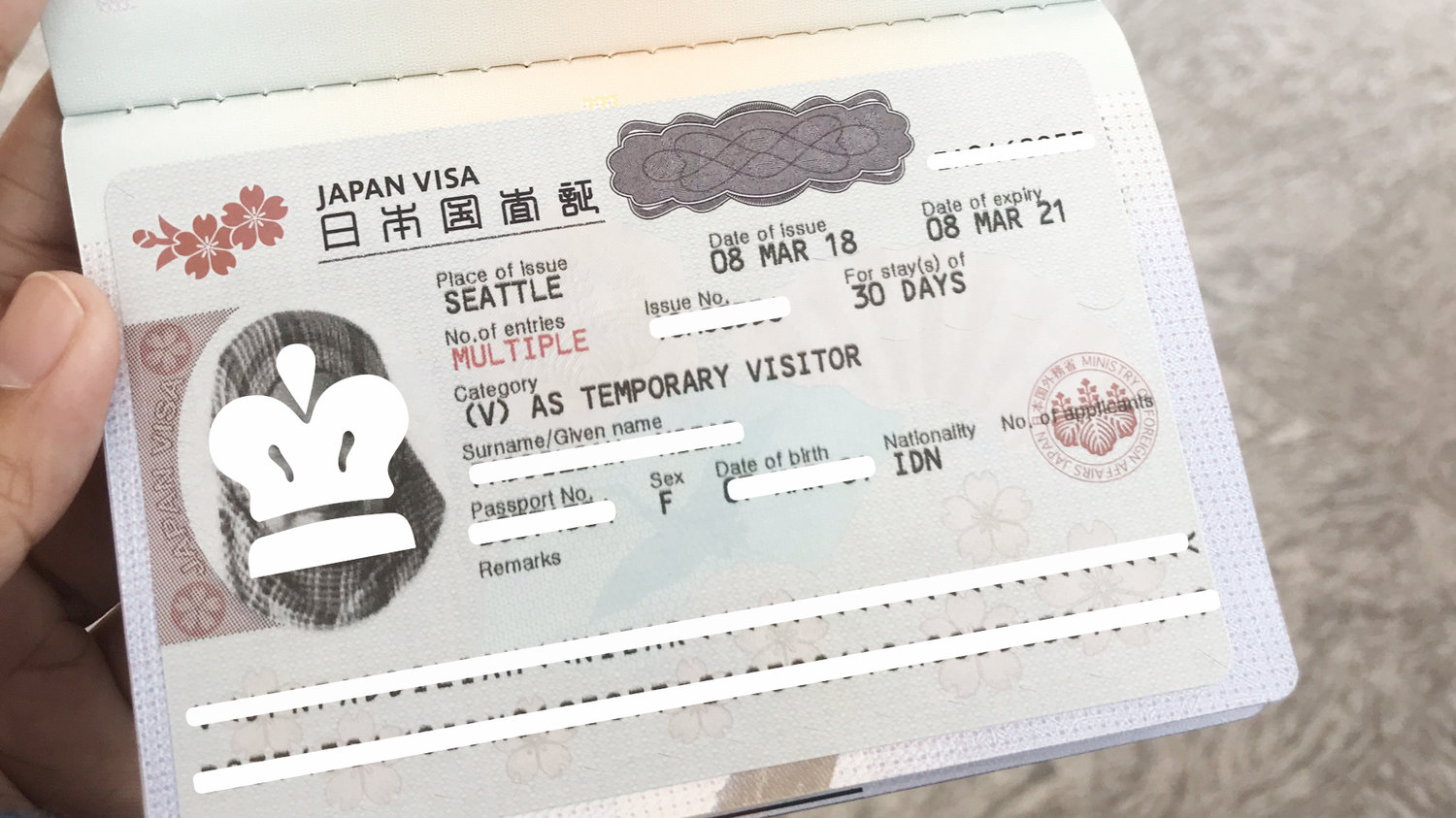Entry visa. Japan visa. Виза в Японию. Japan multiple visa. Фото на визу в Японию.