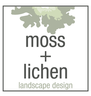 Moss + Lichen