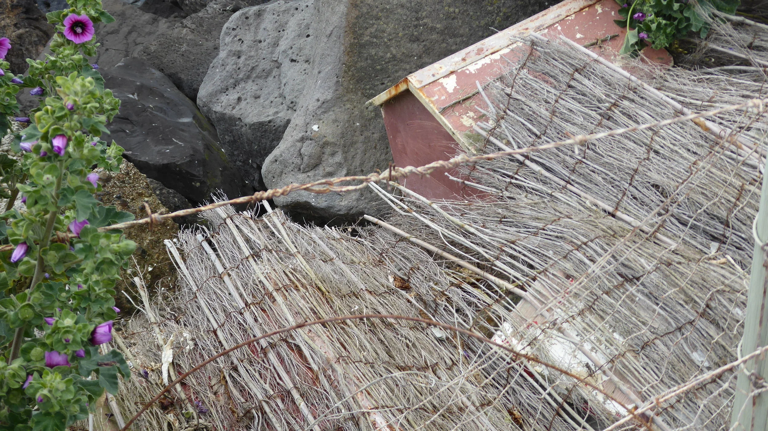 These penguin boxes are hidden in plain sight somewhere near the harbour ...