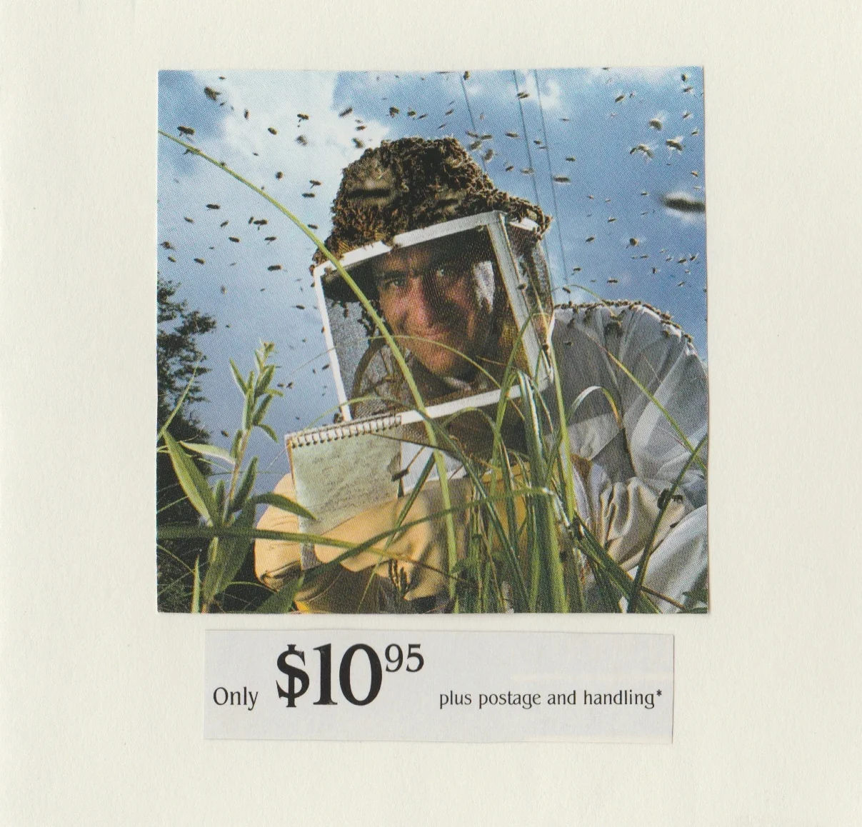 "Serious Science" Series | Collages, 4x6"