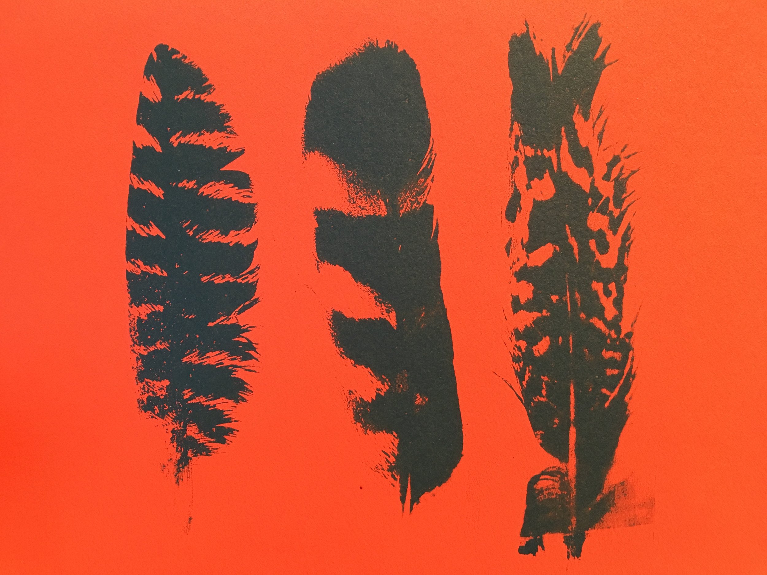 Chosen Feathers | Screenprint, 5x7"