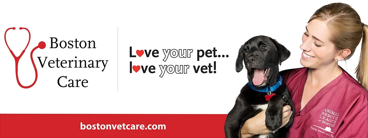 banner veterinary clinic