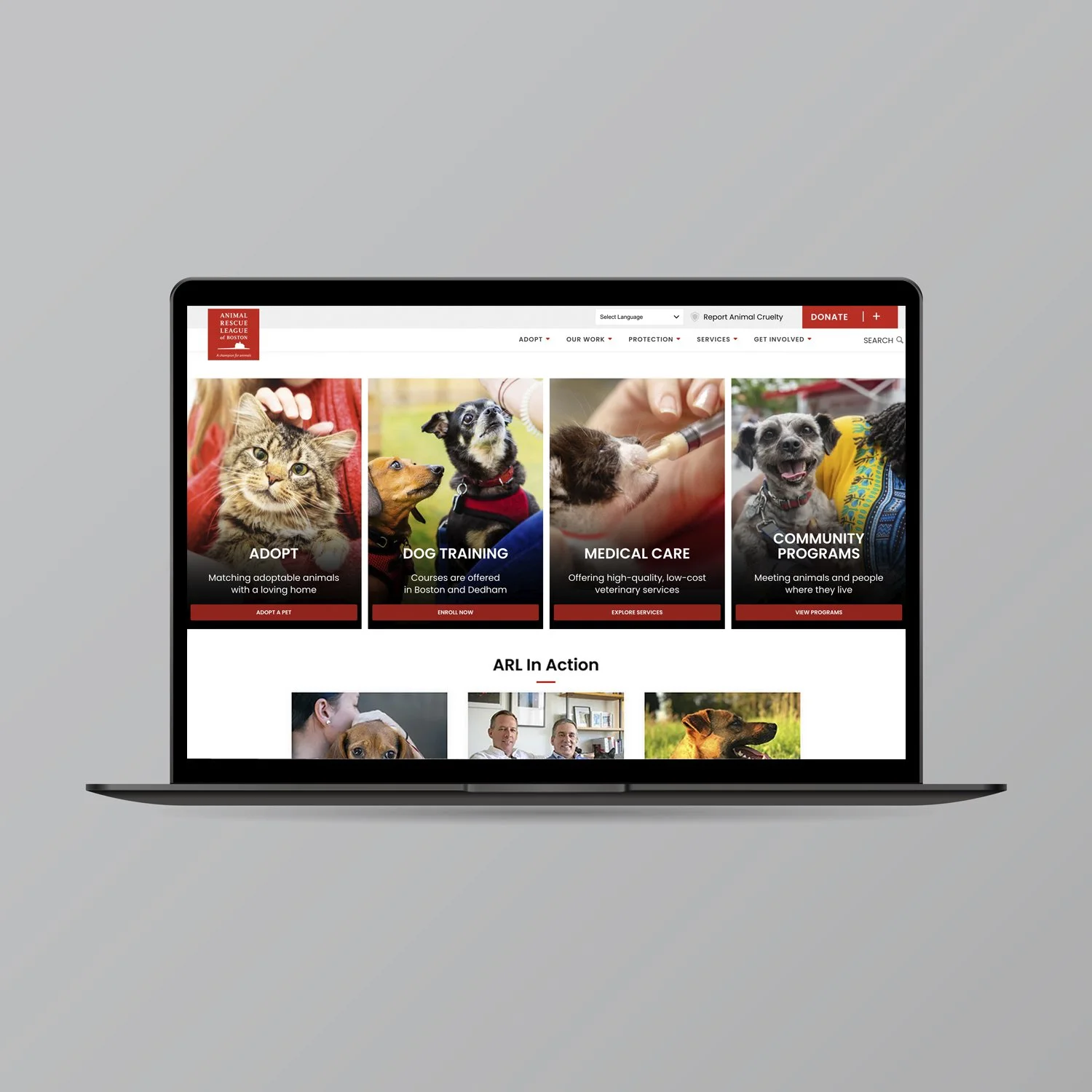 arl-website-page2.jpg