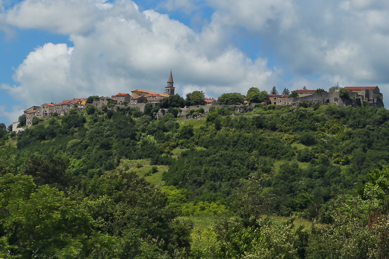 Buzet.jpg