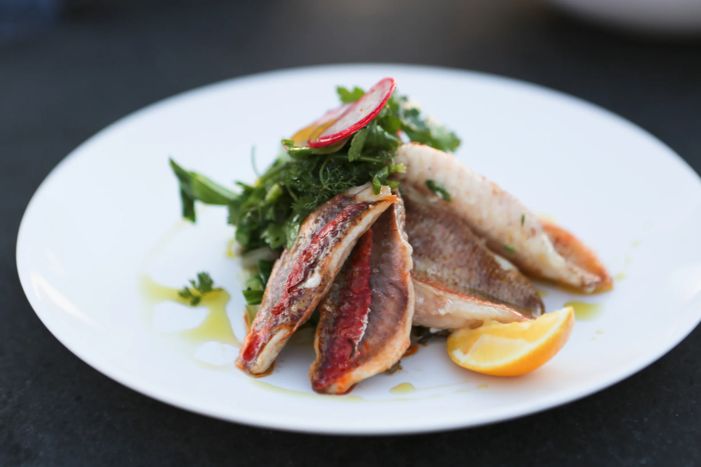 fish-1.jpg