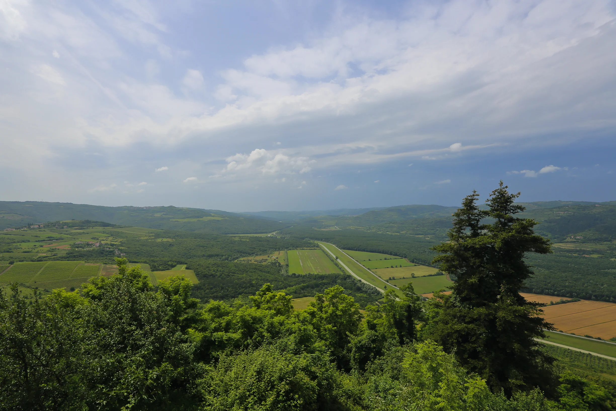 Motovun-93.jpg