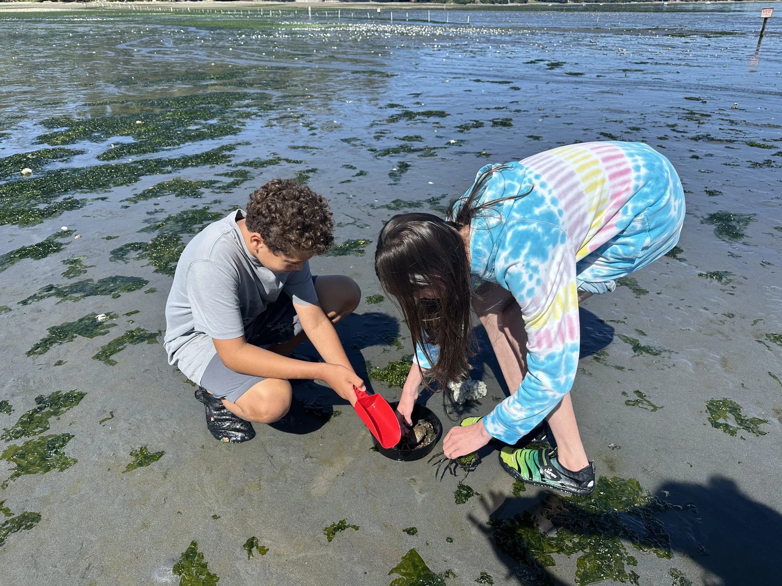 tidepooling.jpg