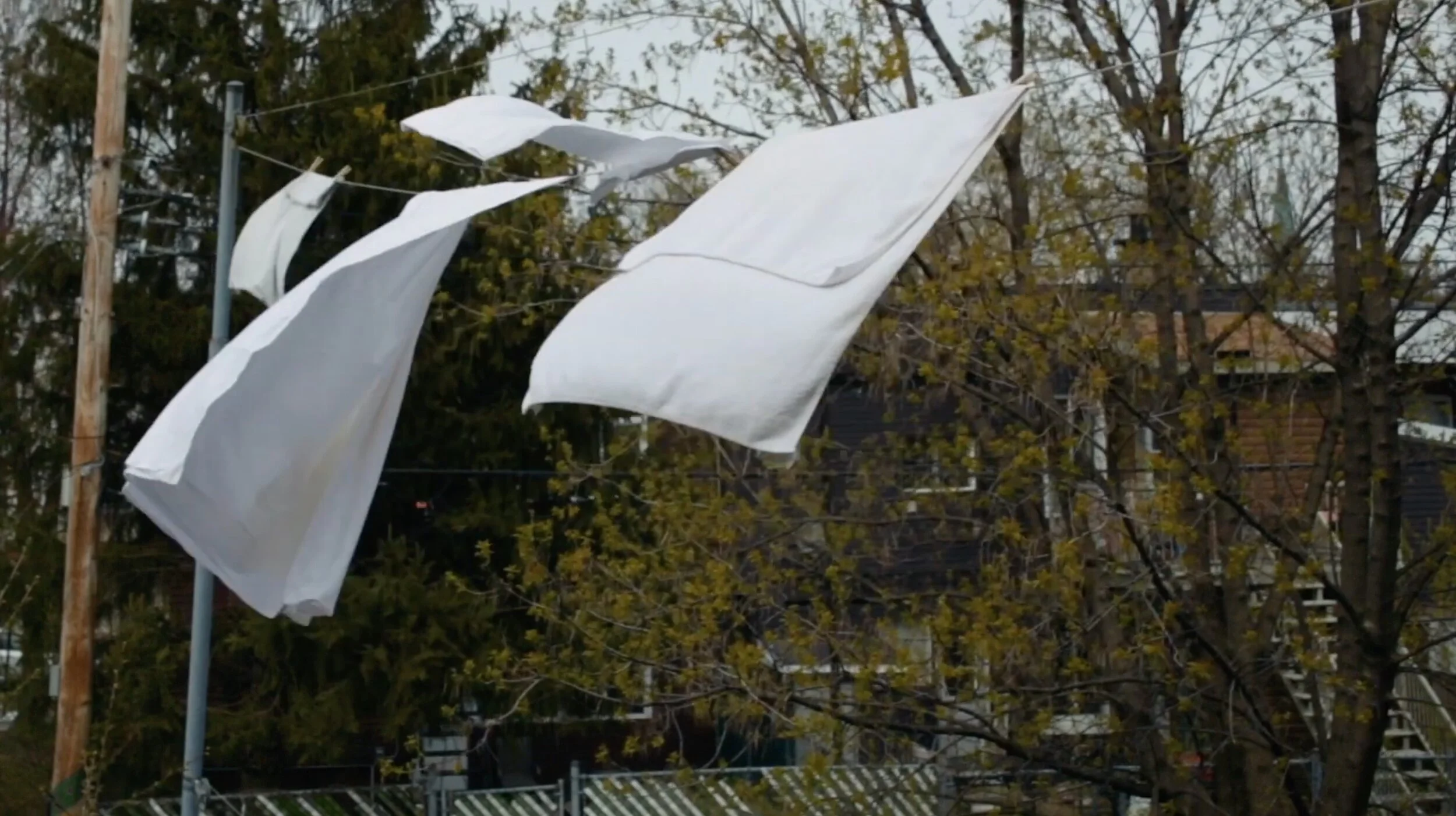 LP2: Cold House Burning