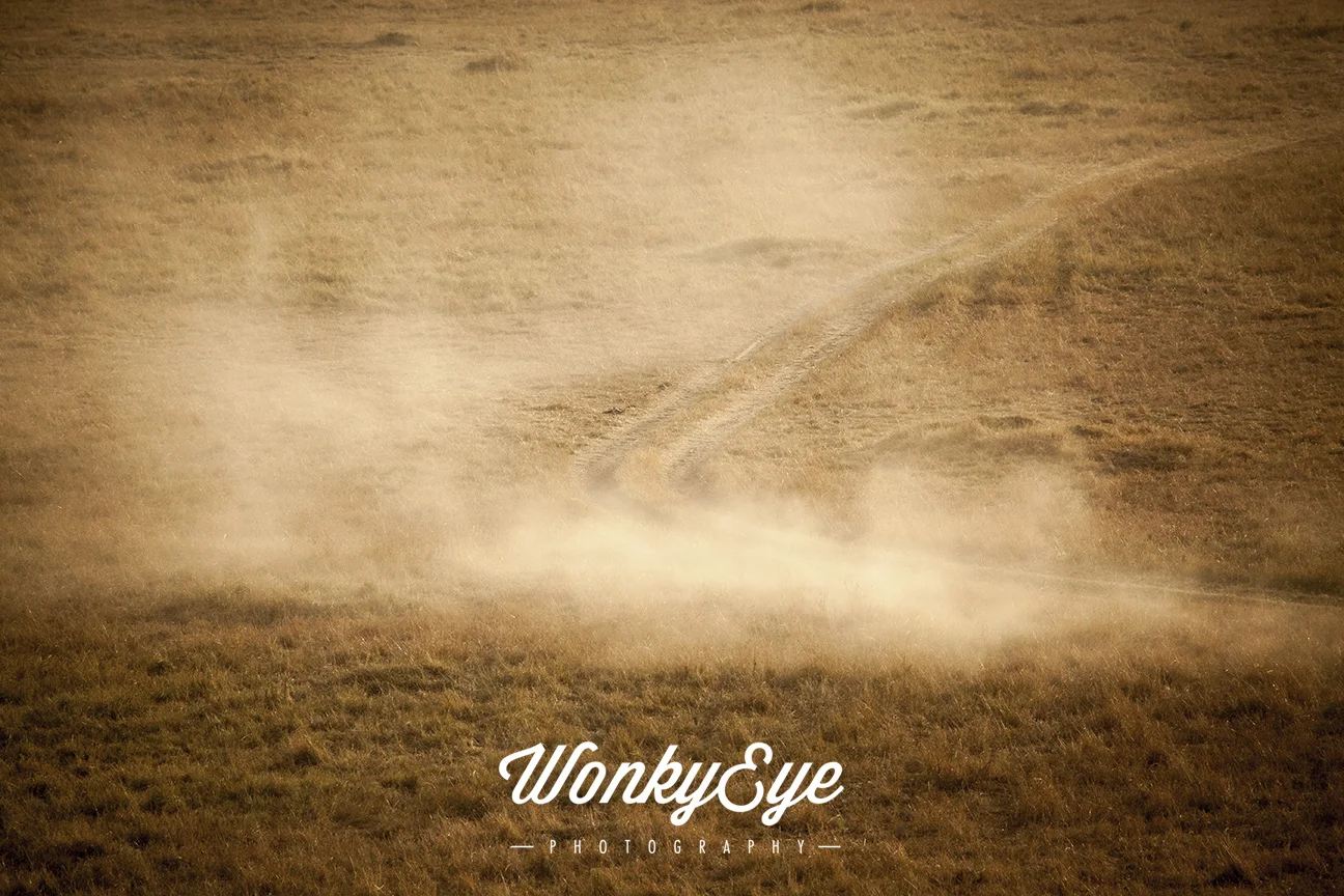 dust track.jpg