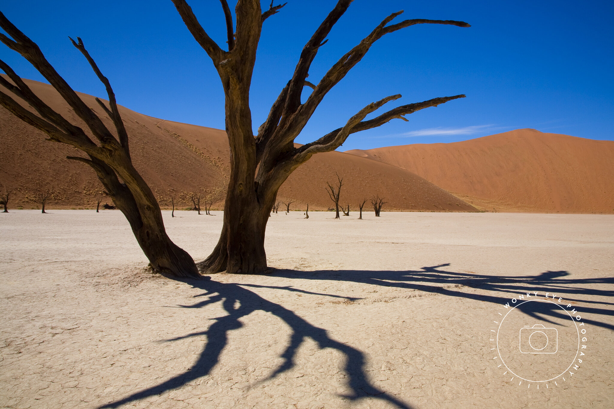 Dead Vlei, Namibia