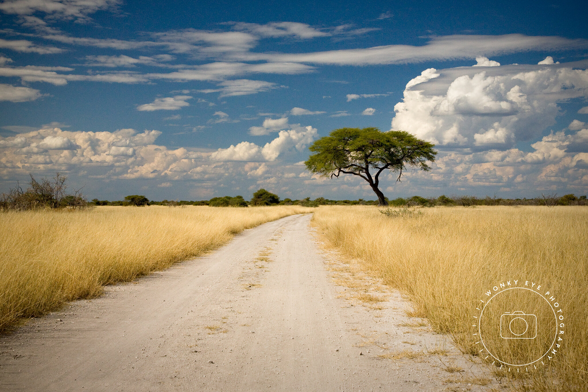 Etosha N.P., Namibia