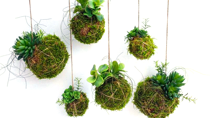 Garden Art: Create Your Own Beautiful Kokedama