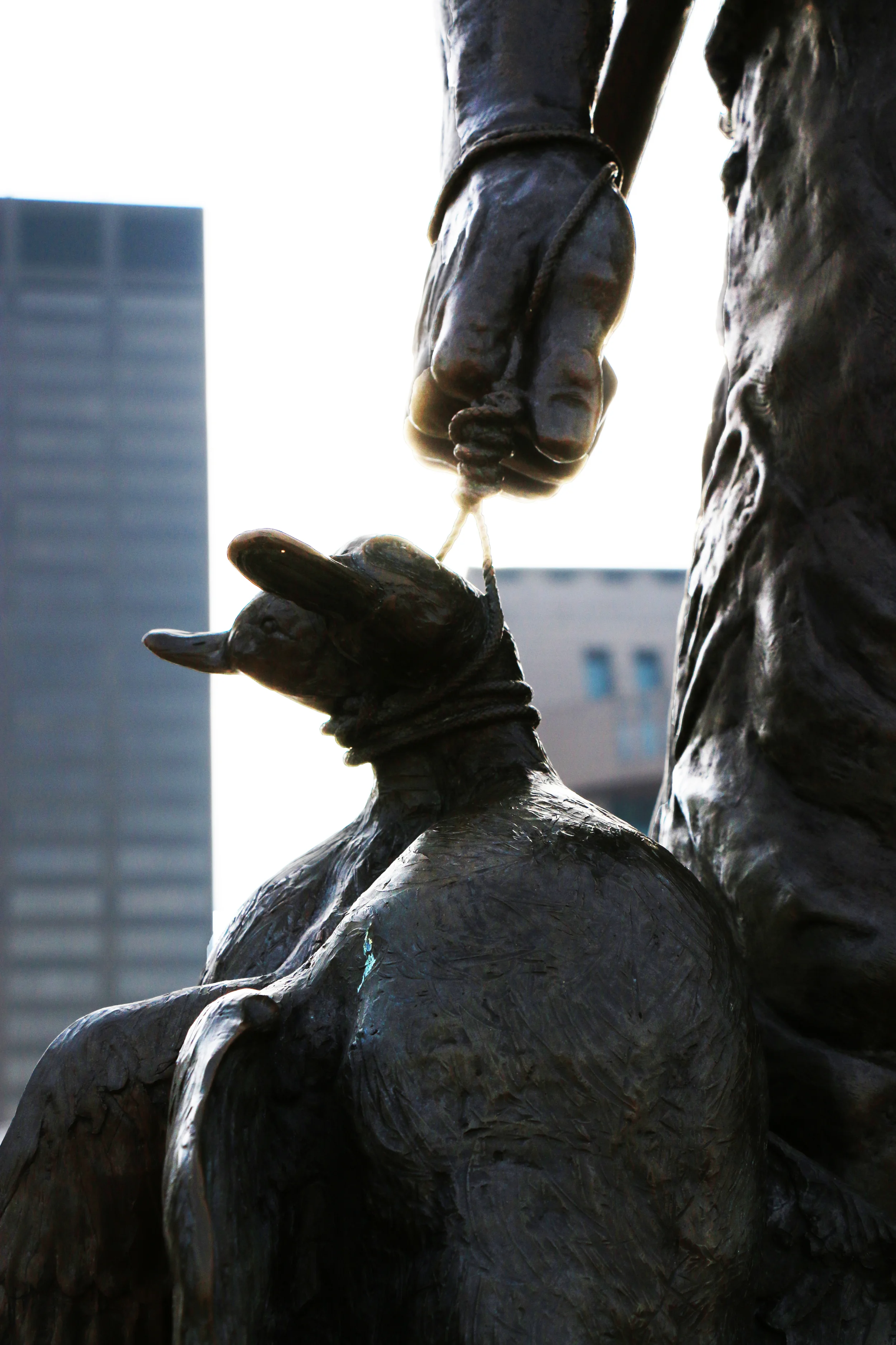 IMG_1865 copy.jpg