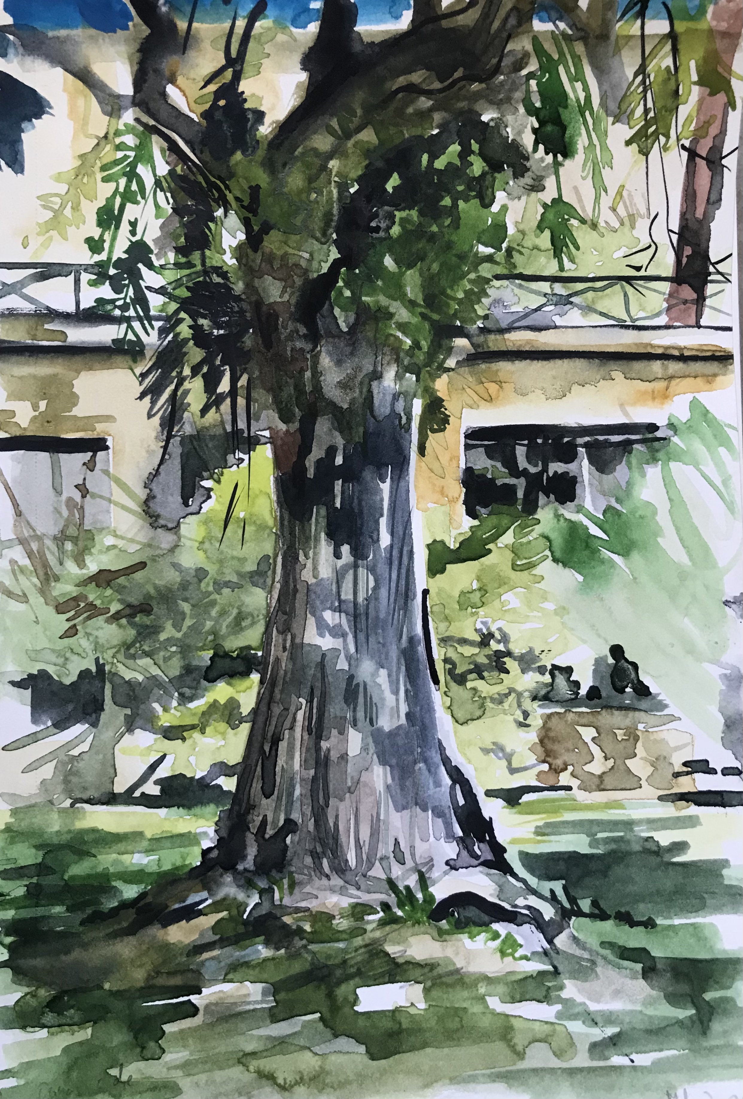 Budding willow.jpg