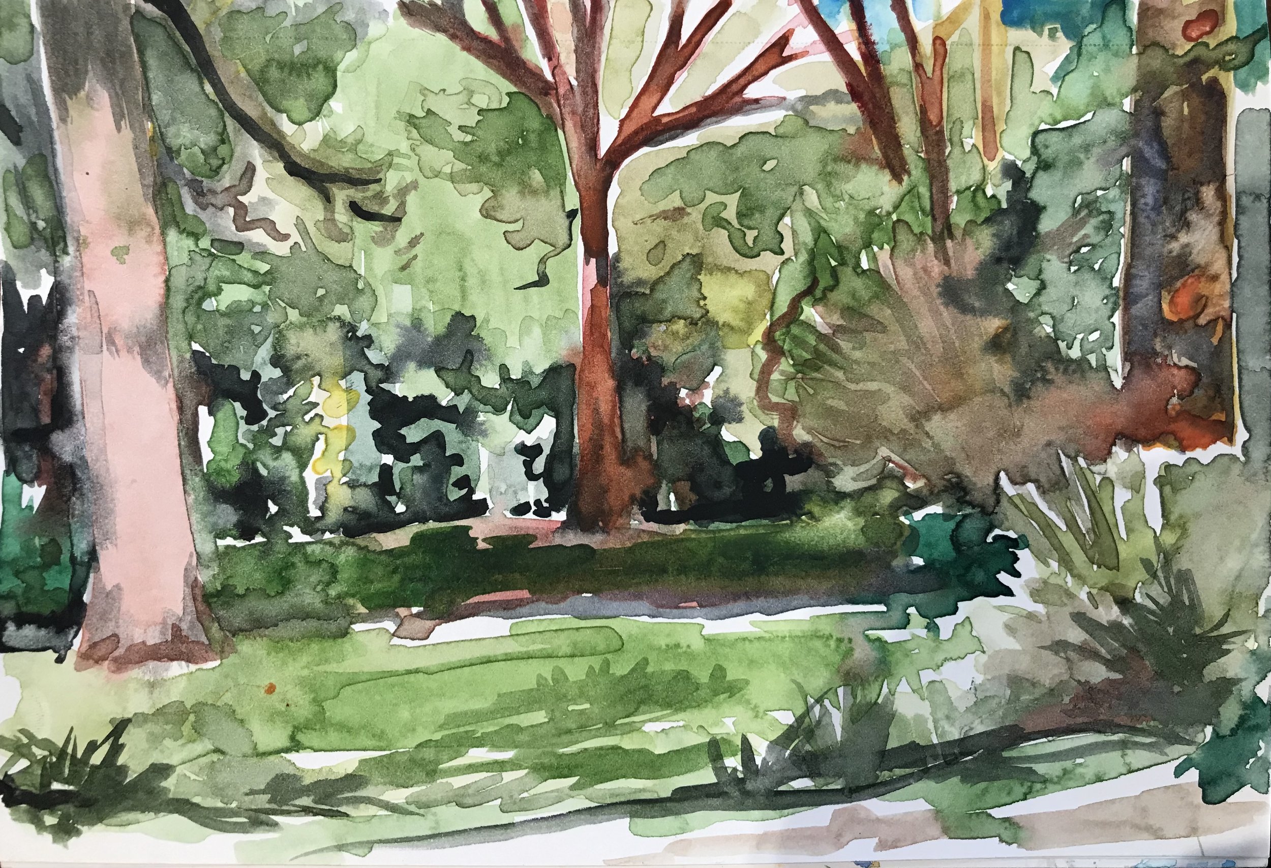 the small stream that leads to the vines.jpg