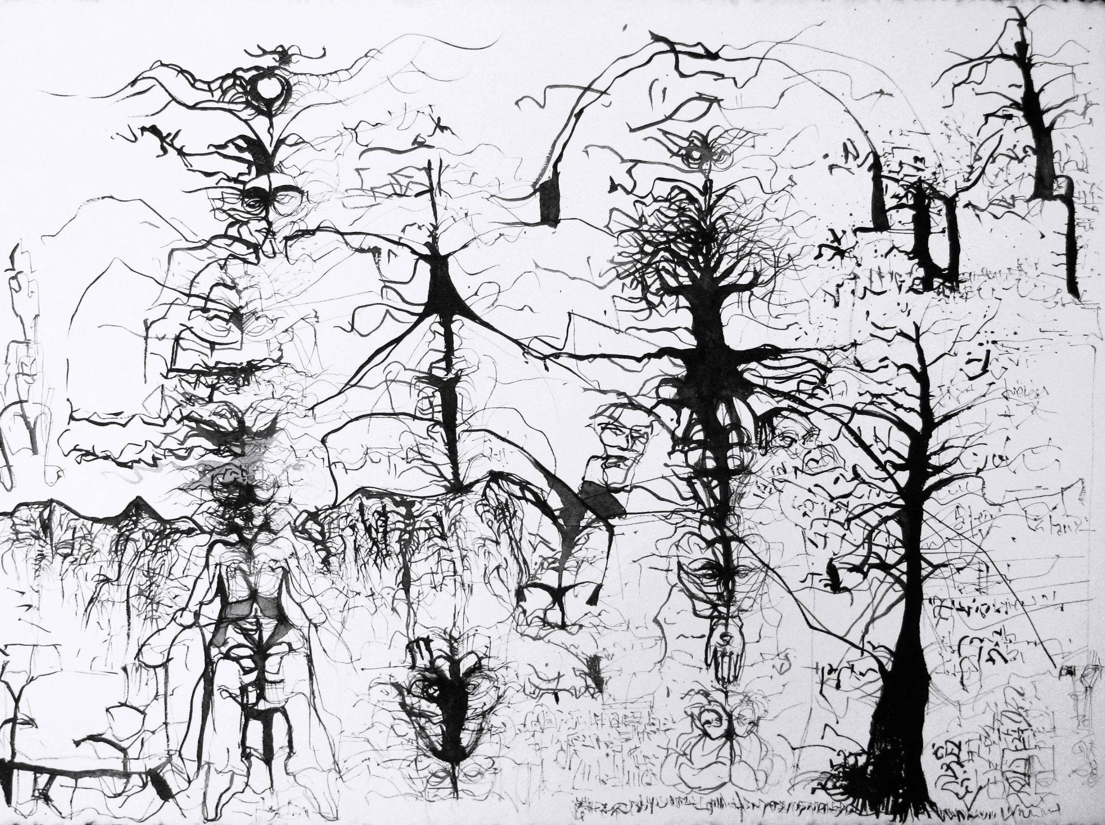 tree walkers 2.JPG